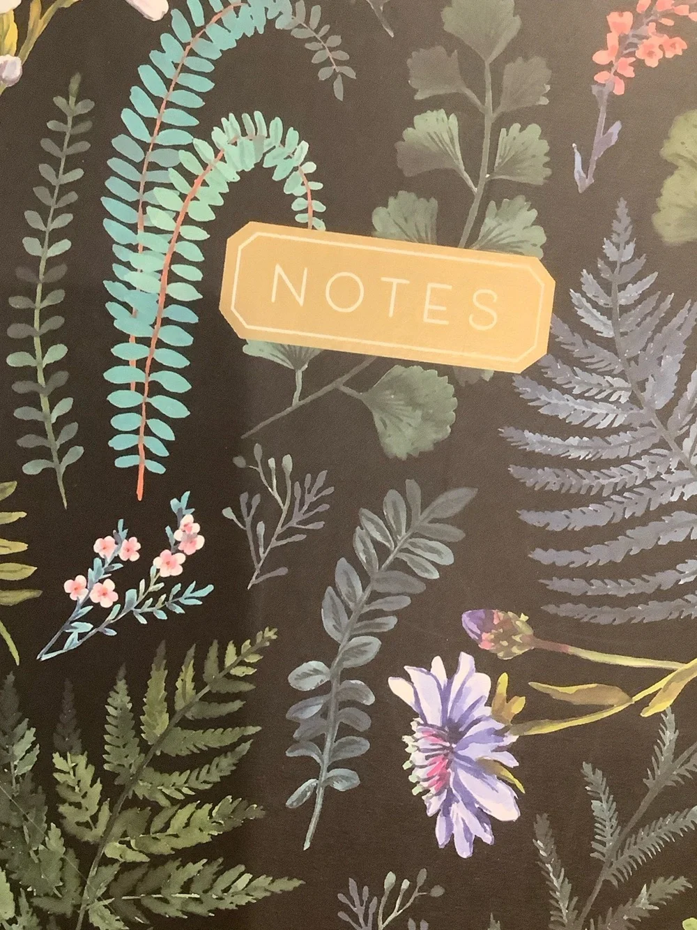 Clementine Paper Co Floral Notes Padfolio Black w Green Botanical Accents NWT